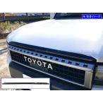 BRIGHTZ ランクル250 TRJ250W GDJ250W ステ�