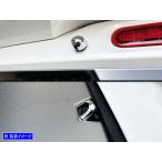 BRIGHTZ スペーシア MK94S メッキウォッ