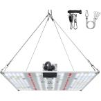 【公式】BRIM(ブリム) PANEL Y 植物育成ライト 無段階調光 IP65 防水 LM281B+  UVA+IR (281B 昼白色 (65W), 1)