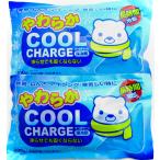 .. исключая насекомое . мягкость прохладный Charge охлаждающие средства глазурь ( мягкий тип ) × 2 шт. комплект 