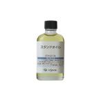 クサカベ(Kusakabe) 画用液 スタンドオイル 55ml
