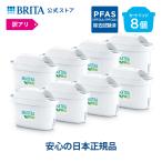 Brita maxtraplus 8 p