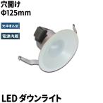 LEDダウンライト φ125 電球色 昼白色 LD125P10 ビームテック
