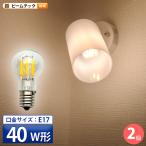 2個セット LED電球 E17 40W 相当 電球色 フィラメント クリアー 電球 エジソン レトロ 北欧 LDG4-E17-35-C ビームテック