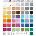 写真撮影用　背景紙　ビーデーペーパー　BD　バックペーパー 　幅２．７２×長さ１１ｍ　フルサイズ（普通サイズ）27色から