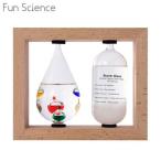 茶谷産業 Fun Science ファンサイエンス 温度計＆ストームグラス 333-272