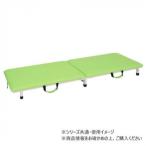  takada bed завод есть . портативный ( складной койка ) ширина 60× глубина 180× высота 17cm lime зеленый TB-1262