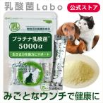 犬 猫 ペット サプリ 免疫力 乳酸菌 国産 便秘 整腸 健康食品 無添加 アレルギーフリー プラチナ乳酸菌5000α 5包入×１