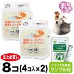 2個入×4セット 猫壱 スポンジ 猫 犬 送料込み ヌルヌル 洗剤なし 食器用 スポンジ×8個 プラチナ乳酸菌 免疫力 国産 便秘 整腸 健康食品 無添加
