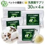 犬 猫 ペット サプリ 免疫力 乳酸菌 国産 便秘 整腸 健康食品 無添加 アレルギーフリー プラチナ乳酸菌5000α 30包入×4