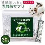 乳酸菌 サプリ 猫 犬 ペット 国産  乳酸菌ラボ 便秘 免疫力 整腸 無添加 アレルギーフリー プラチナ乳酸菌5000α  30包入×１