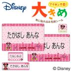 ショッピング名前シール お名前シール 大きい ミニーマウス ディズニー ノンアイロン お昼寝布団 ゼッケン 布用 洗濯OK アイロン不要 洋服 衣類 送料無料 PR