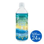  вода натуральный вода бутылка ... гора ... ...... натуральный вода 500ml 24шт.@ средний . вода карниз кофе карниз упаковка карниз сумка Brooks BROOK'S BROOKS