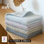 ポイント10倍 今治タオル ミニバスタオル 2枚セット ash アッシュ タオル 送料無料 (宅配) 40×100cm