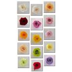  консервированный цветок роза L размер 