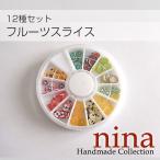 フルーツスライス 12種セットネイル