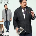 テーラードジャケット 大きいサイズ メンズ 裏ボーダー シングル カットジャケット カジュアル グレー/ブラック 3L-5L LOUIS CHAVLON ルイシャブロン