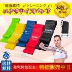 トレーニング チューブ バラ売り エクササイズバンド インナーマッスル ヨガバンド ダイエット リハビリ 体幹 筋トレ