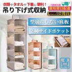 吊り下げ収納 クローゼット 底板入 ポケット付 脱衣所 衣類収納 折りたたみ 下着 小物 タオル 吊り下げ式 収納 ラック 2段 3段 4段 突っ張り棒