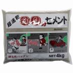 家庭化学工業 - 超速乾３０分セメント - グレー - ４ｋｇ