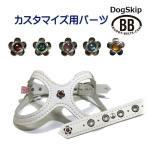 [ номер детали 0024 прозрачный цветок цветок ] buddybelt customize buddybelts customsbati- ремень стандартный импорт представительство 