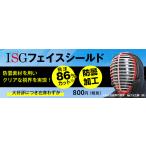 剣道用 防曇 ISGフェイスシールド 剣道防具 面 練習 稽古