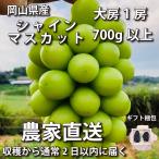 ショッピングシャインマスカット シャインマスカット 700g以上大房1房【2024年産予約・発送9月末~】岡山県産ぶどう(葡萄 ブドウ)