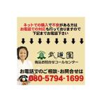 薙刀用旗　審判旗（紅白）　剣道着/防具/竹刀/小手なら武道園