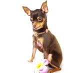 【超小型犬〜小型犬用】セレブに大人気☆海辺で生まれたネックレスお花3つ付き（首回り20ｃｍ・26ｃｍ・29ｃｍ）Sサイズ
