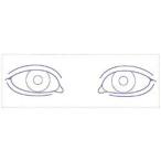 シャチハタ 医療用人体図 「眼-1」 2