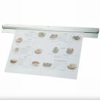 18-8 меню вешалка 1100mm( заказ вешалка )[TO-133] магнит нет 