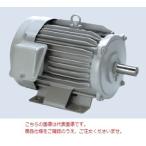 三菱電機 高性能省エネモータ SF-PRF 0.75KW 2P 200V (SF-PRF-750W-2P)