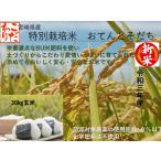 令和５年産 特別栽培米 30kg(玄米) 送