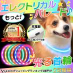 首輪 犬 光る首輪 超軽量 レインボー LED USB 防犯 夜 散歩 ライト おしゃれ 猫 小型犬 大型犬