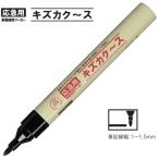 【メール便OK】寺西化�