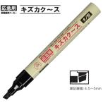 【メール便OK】寺西化�