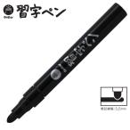 【10本までメール便OK】寺西化学工業 ギター 習字ペン [ 黒 ブラック ] MSMP-T1 筆文字 習字練習