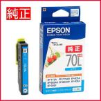 メール便対応不可 エプソン EPSON 純�