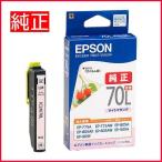 メール便対応不可 エプソン EPSON 純�
