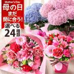 母の日 花 早割 2024 プレゼント ギフト 鉢植え アジサイ アレンジメント スタンディングブーケ 花束 カーネーション 送料無料 イベントギフトA