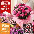 早割＆クーポンで150円OFF 母の日 2024 プレゼント 花 ギフト 鉢植え カーネーション 5号鉢 花鉢 選べる13種類 定番 赤 ピンク 送料無料 イベントギフトU