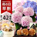 母の日 花 2024 プレゼント ギフト 花