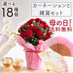 まだ間に合う！ 母の日 2024 プレゼント 花 ギフト 選べる18通り 花と雑貨 セット 鉢植え カーネーション鉢4号 BODUM タングルティーザー イベントギフトX