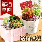 母の日 早割 2024 プレゼント 花 ギフト 多肉植物 寄せ植え 観葉植物 送料無料 イベントギフトK6