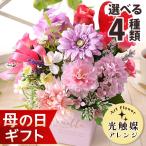 母の日 2025 ギフト 花 プレゼント 光触媒アレンジ 光触媒 フラワー 造花 アレンジメント バラ カーネーション イベントギフトK5 ポイント利用