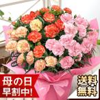 早割実施中！ 母の日 2026 ギフト 花 プレゼント 鉢植え カーネーション鉢6号 とっても豪華♪「カーネーション3色植え」 鉢花 花鉢 イベントギフト ポイント利用