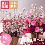 あすつく 14時まで 早春のおまかせ桜アレンジ 花 桜 誕生日 プレゼント ギフト 送料無料 生花 お花 女性 お祝い 春の花