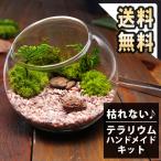 あすつく 14時まで 苔 テラリウム キット ハンドメイドキット プリザーブドモス 送料無料 誕生日 プレゼント ギフト お祝い 手作り おしゃれ インテリア