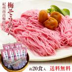 ギフト プレゼント 送料無料 南高梅肉入