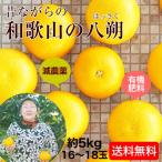 2026 год предварительный заказ начало . для бытового использования Wakayama. ..( - sak) примерно 5kg. пестициды * иметь машина удобрение культивирование [ бесплатная доставка ]M~2L размер примерно 5kg(. ...16~23 шар ) (fy4)